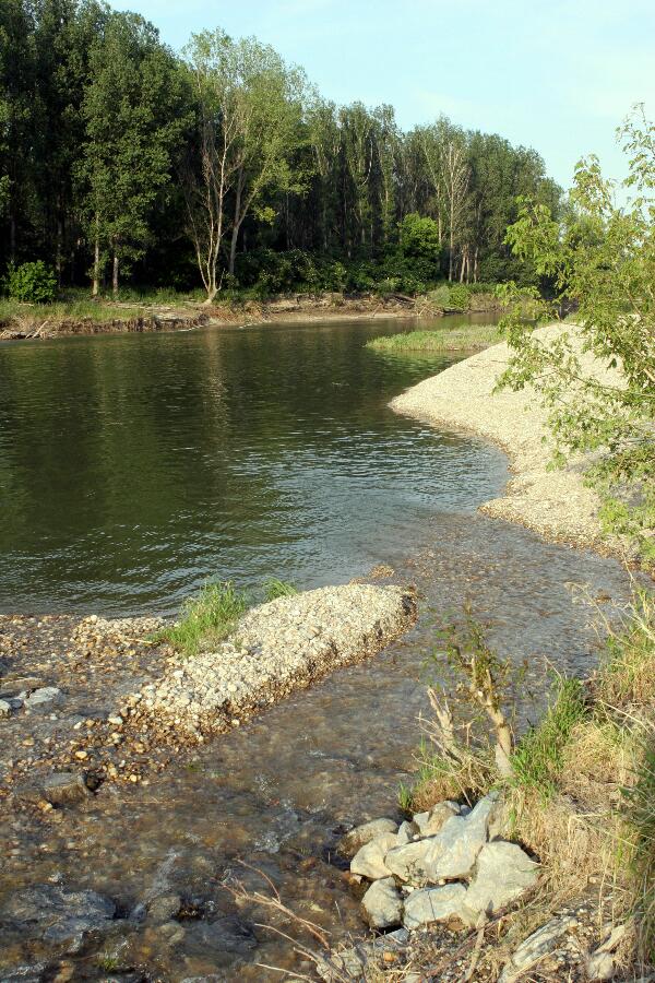 Foto 24/26 (Haslau, Nationalpark Donauauen)